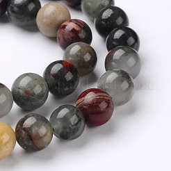 Naturali africane perline Bloodstone fili&nbsp;X-G-L383-06-10mm