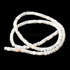 Нити бусин из натуральных пресноводных ракушек SHEL-K006-07