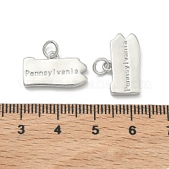 真鍮チャーム  ペンシルバニアの文字が入ったナゲットチャーム  長持ちメッキ  ラックめっき  鉛フリー＆カドミウムフリー  プラチナ  10.5~11x18x2.5mm  丸カン：5x1ミリ  3内径。&nbsp;KK-D229-22N-P