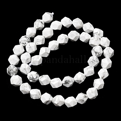 Природные Говлит бисер нитей&nbsp;G-Z119-A43-02