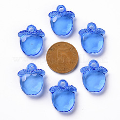 Прозрачные акриловые подвески&nbsp;TACR-S154-28B-86