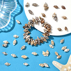 100 г натуральных ракушечных бусин BSHE-LT0001-04