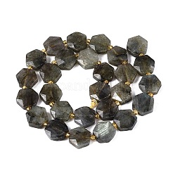 Natur Labradorit Perlen Stränge&nbsp;G-N368-01A-07