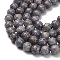 Природные иолит нитей бисера G-C259-B06-8mm