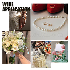 Абс пластмасса имитация жемчужина европейские бисер SACR-NB0001-18A