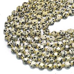 Природные яшмы далматин бисер нитей G-C116-A31-02