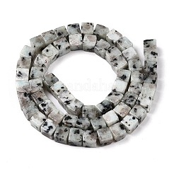 Натуральный кунжут яшма / киви нитки бусины яшмы G-T139-6x6-01A