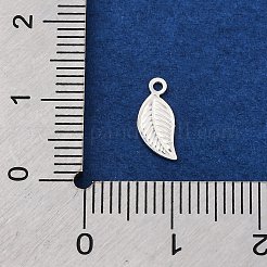 925 серебряный шарм STER-D301-04S-04