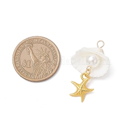 5 шт. Подвески из сплава в тибетском стиле PALLOY-JF04158