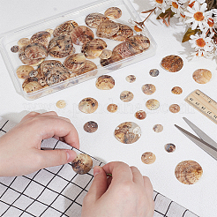 90 шт. 6 стиля пуговиц из пресноводной ракушки SHEL-PH0001-62