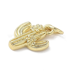 真鍮チャーム  丸カン付き  サボテン  18KGP本金メッキ  13x10x3mm  穴：3mm&nbsp;X-KK-L248-13G