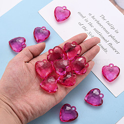 Прозрачные акриловые подвески&nbsp;X-TACR-T024-03B-906