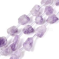 Brins de perles d'améthyste naturelle brute brute&nbsp;G-Q610-04