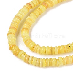 Hebras naturales de cuentas de concha de agua dulce&nbsp;SHEL-Q028-01C