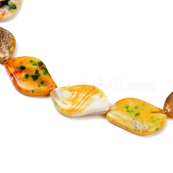 Окрашенные естественный агат бисер пряди G-U029-I01