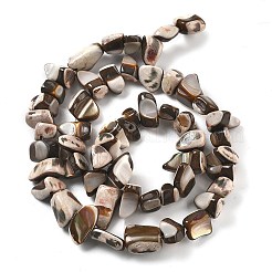 Окрашенные нити натуральных бусин-ракушек трохуса&nbsp;BSHE-Z006-01B