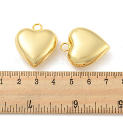 День святого Валентина 304 подвески из нержавеющей стали STAS-P342-01G