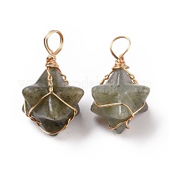 Подвески из медной проволоки из натурального лабрадорита&nbsp;G-B041-02G-18