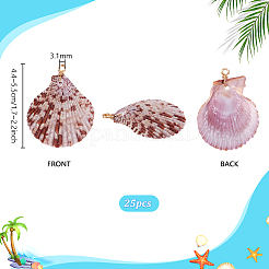 25 шт. Подвески из натуральных ракушек PALLOY-PH01859