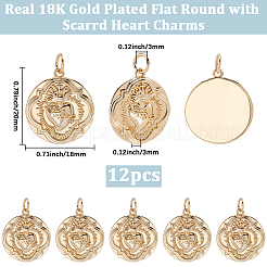 12 pièces pendentifs en laiton&nbsp;KK-BBC0024-99