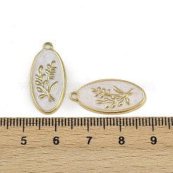 Подвески из нержавеющей стали 304 с эмалью&nbsp;STAS-L302-14G