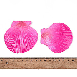 Большие подвески из натуральной ракушки гребешка SSHEL-T017-14M