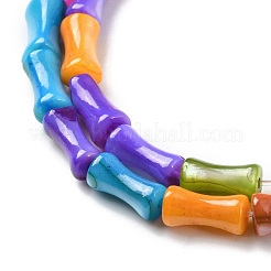 Натуральные пресноводные окрашенные бусы из ракушек SHEL-R129-03