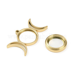Placcatura ionica (ip) 304 ciondolo medaglione in acciaio inossidabile&nbsp;STAS-S132-14G-01
