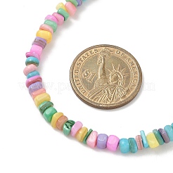 Ожерелья из натуральных окрашенных пресноводных ракушек NJEW-JN05434