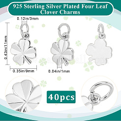 40 Stück Messing Charms&nbsp;KK-BBC0025-10