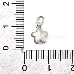 Латунные подвески&nbsp;KK-I364-23P