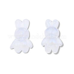 Прозрачные акриловые бусины X-OACR-N008-172F