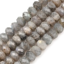 Природные лабрадорита бисер нитей&nbsp;G-C259-A41-5x8mm