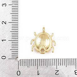 Insektenverbinder-Anhänger aus Messing und Emaille&nbsp;KK-L275-64G-01