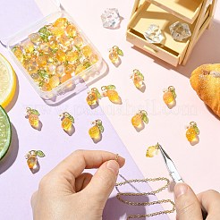 40 шт. 2 стиля подвески из стекла и акрила&nbsp;PALLOY-CJ00173