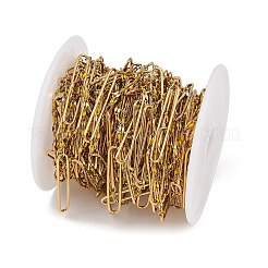 Cadenas de eslabones ovalados de acero inoxidable 304 con acabado esmaltado&nbsp;CHS-K021-15G-06