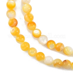 Fili di perline di conchiglia giallo dorato naturale&nbsp;SSHEL-G024-01A