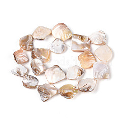 Нити бусин из натуральных пресноводных ракушек BSHE-T014-39