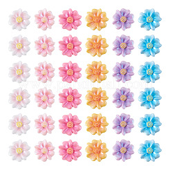 60 Stück 6 Farben undurchsichtige Harz-Cabochons&nbsp;RESI-TA0005-43