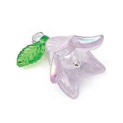 20шт акриловые подвески PALLOY-JF03110-02