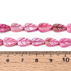 Colliers de perles sculptées en coquillage d'eau douce naturelle&nbsp;SHEL-N038-25E