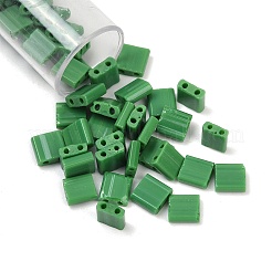 520шт 2 стеклянных бисера с 2 отверстиями SEED-NB0001-72B