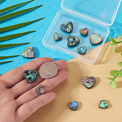 12pcs2スタイルナチュラルアワビシェル/パウアシェルビーズ  ハート  カラフル  10~15x10.5~15.5x3.5mm  穴：1mm  6個/スタイル&nbsp;SHEL-TA0001-41