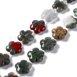 Naturelles africaines perles bloodstone brins, Flower 5 pétales, 15x5.5mm, Trou: 1.2mm, Environ 27 pcs/chapelet, 17.13'' (43.5 cm)