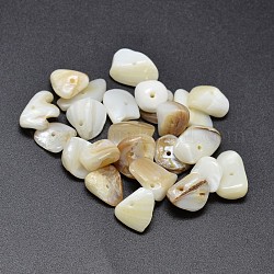 Natural Freshwater Shell Nuggets Chips Beads, PapayaWhip, 6~20x9~10mm, Hole: 1mm, about 400pcs/500g