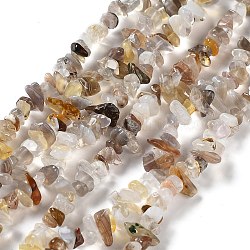 Chapelets de perles en agate naturelle du Botswana, puce, 4~12x3~5x1~4mm, Trou: 0.5mm, 16.06'' (40.8 cm)