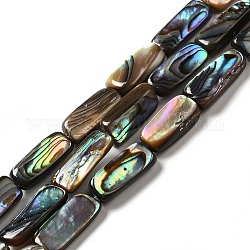 Naturelles Paua brins de perles, rectangle, 13~15.5x6.5x3.5~6mm, Trou: 0.8mm, Environ 28 pcs/chapelet, 16.22~16.34 pouce (41.2~41.5 cm)