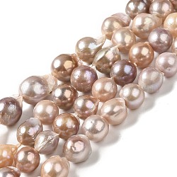 Naturales keshi abalorios de perlas hebras, perlas barrocas, perla cultivada de agua dulce, lágrima, bronceado, 11.5~13.5x10.5~12x11~12mm, agujero: 0.6 mm, aproximamente 33~34 pcs / cadena, 15.63~15.87 pulgada (39.7~40.3 cm)