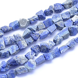Brins bruts bruts de lapis lazuli naturels, pépites, 6~15x6~15x5~10mm, Trou: 0.7mm, Environ 37~45 pcs/chapelet, 15.75 pouce (40 cm)