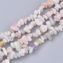 Chapelets de perles en morganite naturelle, puce, 5~15x5~10x2~7mm, Trou: 1mm, Environ 245~270 pcs/chapelet, 33.07~33.85 pouce (84~86 cm)